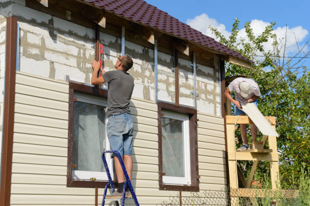 Best Same-Day Junk Removal Services  in Petersburg, IN