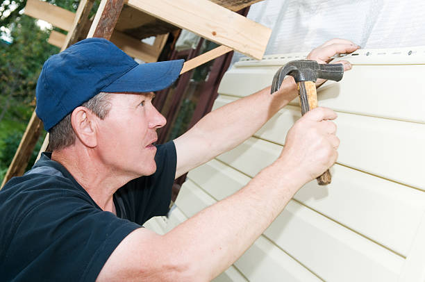 Best Hoarding Cleanup  in Petersburg, IN