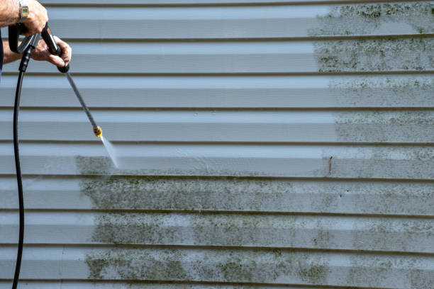 Best Demolition Debris Removal  in Petersburg, IN