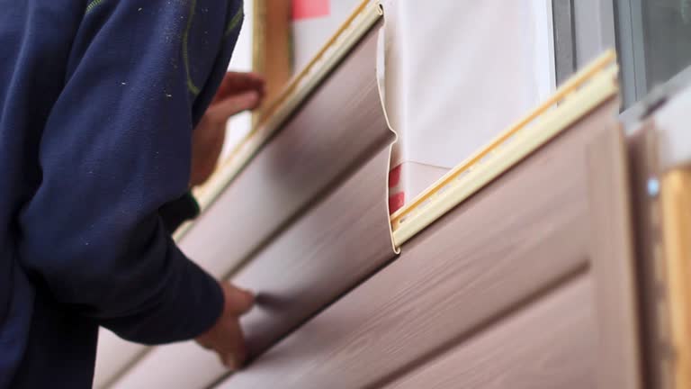 Best Dumpster Rental Services  in Petersburg, IN